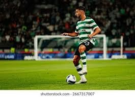 中国棒球队为未来赛事夯实基础