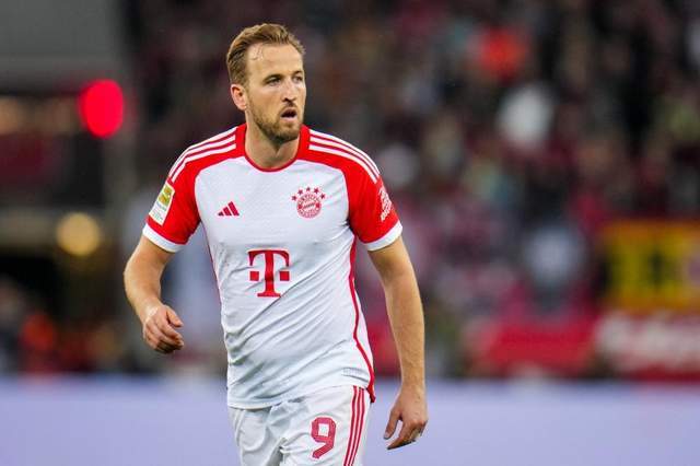 的自由角色 的自由角色