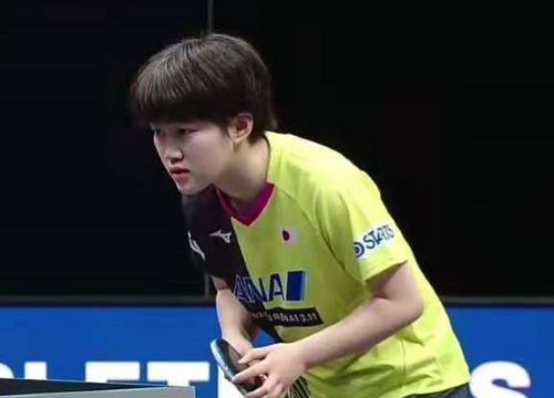 整个城市被 整个城市被